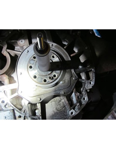 EXTRACTOR FORZA DE... 2