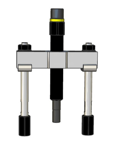 PUENTES PARA INYECTORES FORZA