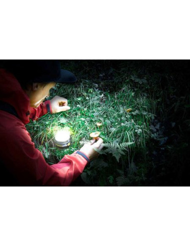 Foco LED multifunción outdoor con...