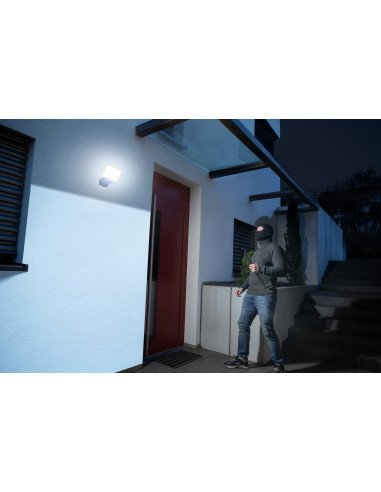 Foco LED de pared WF con protección...