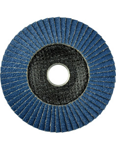 Disco de láminas abrasivas... 2