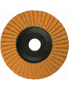 Disco de láminas abrasivo...