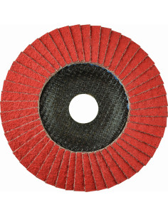 Disco de láminas abrasivo...