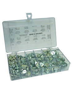 Surtido de 170 engrasadores