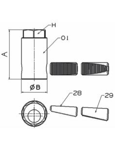 EXTRACTOR DE ESPÁRRAGOS... 2